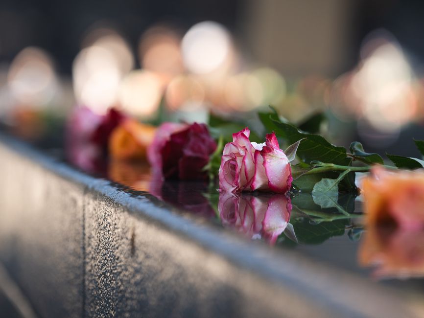 A close-up of a floral tribute featuring pink and white roses with delicate, slightly ruffled petals, resting on a reflective black surface which creates mirror images of the flowers. The roses are fr